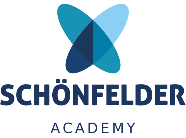 Schönfelder Academy | Premium-Workshops für Coachs und Führungskräfte